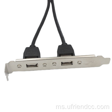 Motherboard 9-pin ke kabel Baffle Port USB2.0 Dual USB2.0